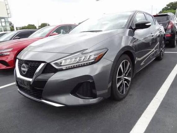 NISSAN MAXIMA 2023 1N4AA6CV2PC511607 image
