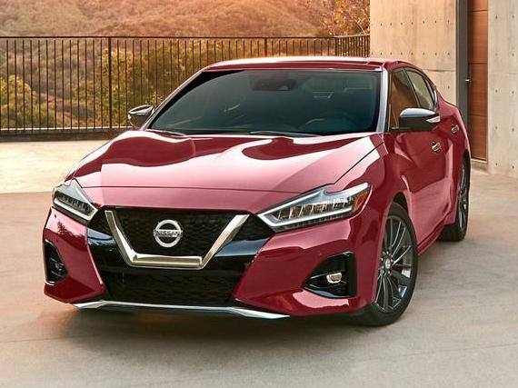 NISSAN MAXIMA 2023 1N4AA6CV7PC512669 image