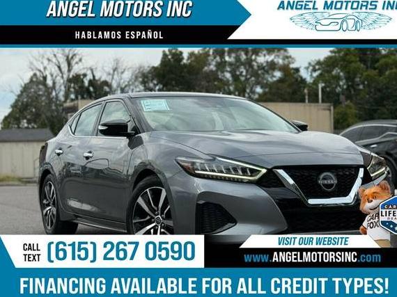 NISSAN MAXIMA 2023 1N4AA6CV9PC508672 image