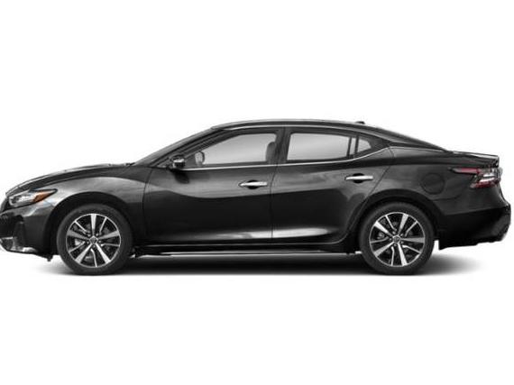 NISSAN MAXIMA 2023 1N4AA6CV7PC511585 image