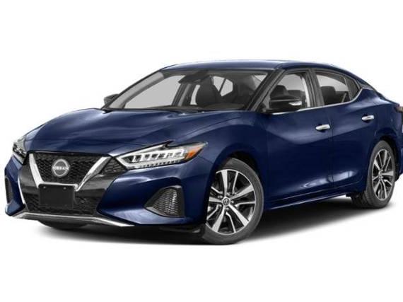 NISSAN MAXIMA 2023 1N4AA6CV8PC511076 image