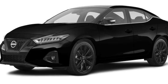 NISSAN MAXIMA 2023 1N4AA6EV3PC505246 image