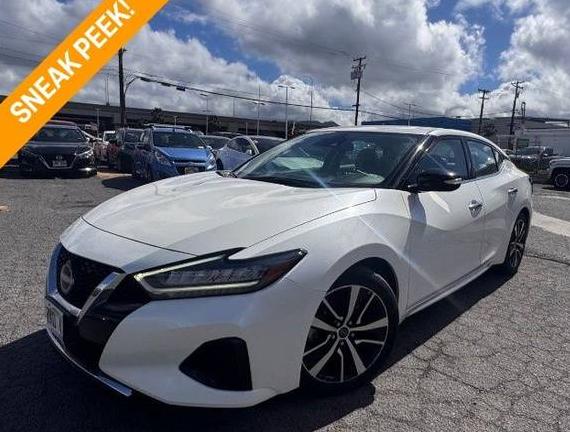 NISSAN MAXIMA 2023 1N4AA6CV8PC511983 image