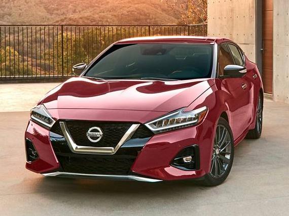 NISSAN MAXIMA 2023 1N4AA6EV9PC503114 image