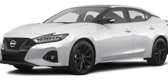 NISSAN MAXIMA 2023 1N4AA6EV4PC513291 image