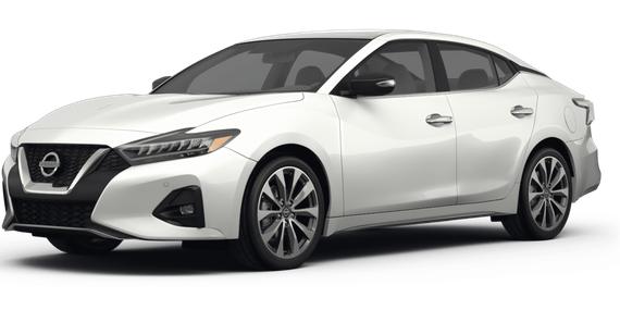 NISSAN MAXIMA 2023 1N4AA6FV7PC503563 image