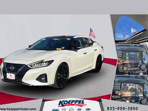 NISSAN MAXIMA 2023 1N4AA6FV5PC506946 image