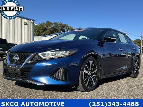 NISSAN MAXIMA 2023 1N4AA6CV5PC511536 image