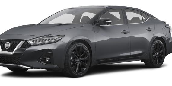 NISSAN MAXIMA 2023 1N4AA6CV3PC511020 image