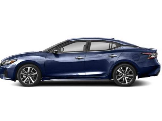 NISSAN MAXIMA 2023 1N4AA6CV7PC511604 image