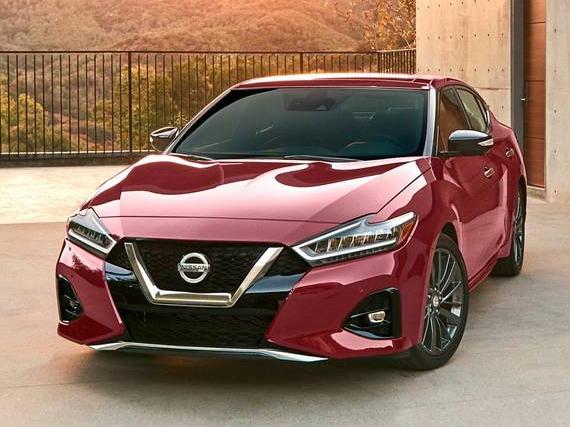 NISSAN MAXIMA 2023 1N4AA6EV9PC505347 image