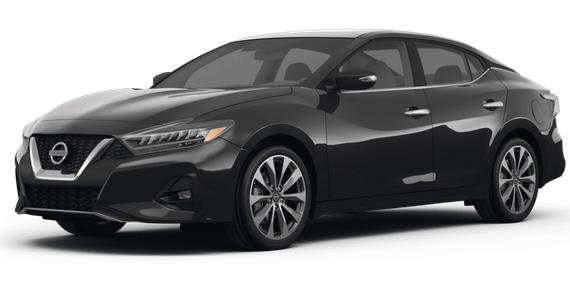 NISSAN MAXIMA 2023 1N4AA6FV8PC502339 image