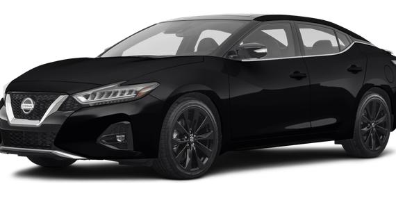 NISSAN MAXIMA 2023 1N4AA6CVXPC514190 image