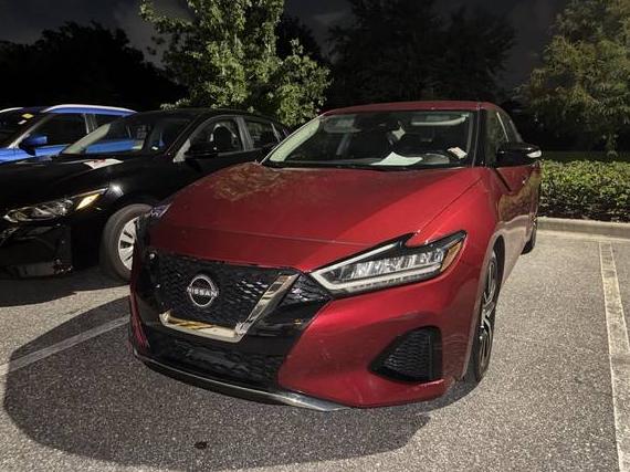 NISSAN MAXIMA 2023 1N4AA6CV1PC513011 image