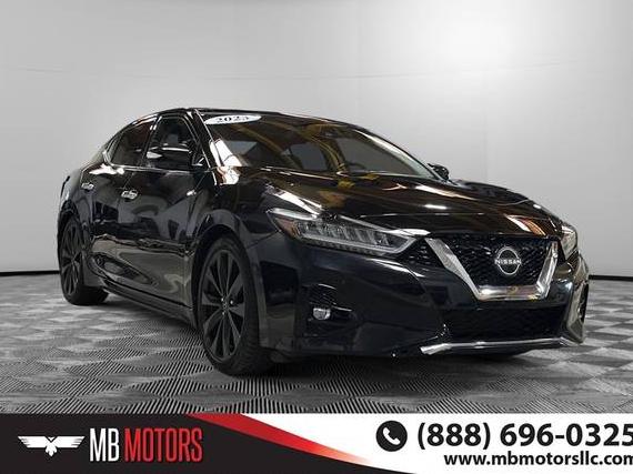 NISSAN MAXIMA 2023 1N4AA6FV4PC509675 image
