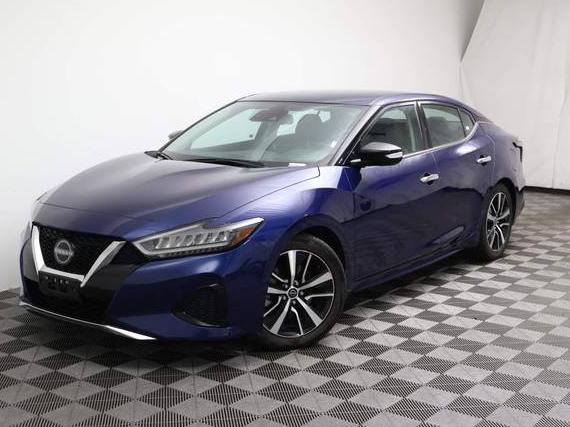 NISSAN MAXIMA 2023 1N4AA6CV4PC511107 image