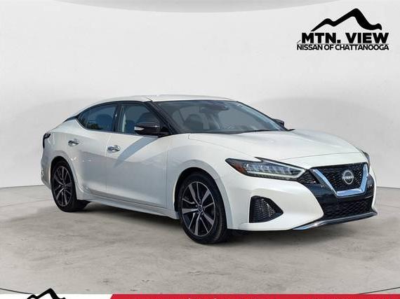 NISSAN MAXIMA 2023 1N4AA6CV7PC512039 image