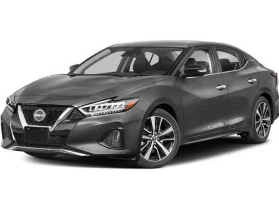NISSAN MAXIMA 2023 1N4AA6CV8PC511031 image