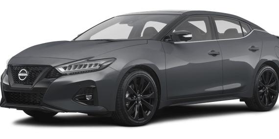 NISSAN MAXIMA 2023 1N4AA6EV3PC508096 image