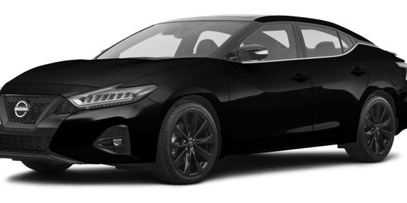 NISSAN MAXIMA 2023 1N4AA6EV5PC502588 image