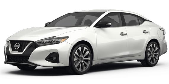 NISSAN MAXIMA 2023 1N4AA6FV6PC503151 image