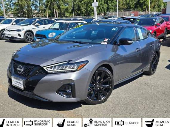 NISSAN MAXIMA 2023 1N4AA6EV6PC513955 image