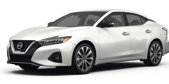 NISSAN MAXIMA 2023 1N4AA6FV8PC505905 image