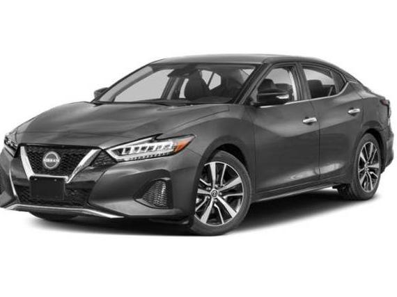 NISSAN MAXIMA 2023 1N4AA6CV5PC510595 image