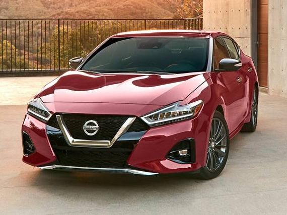 NISSAN MAXIMA 2023 1N4AA6FV9PC512815 image