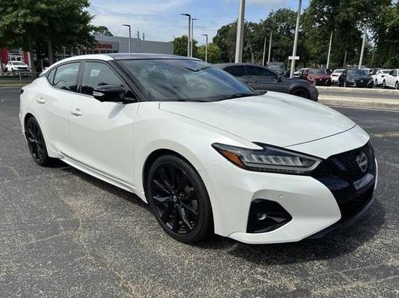 NISSAN MAXIMA 2023 1N4AA6EV9PC502044 image