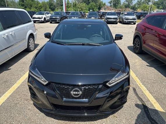 NISSAN MAXIMA 2023 1N4AA6EV9PC505638 image