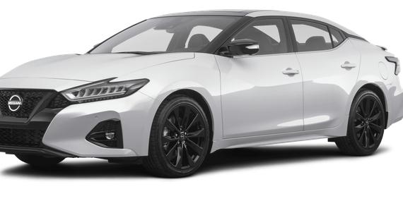 NISSAN MAXIMA 2023 1N4AA6EV6PC506584 image