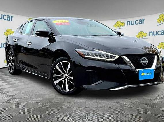 NISSAN MAXIMA 2023 1N4AA6CV6PC511268 image