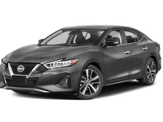 NISSAN MAXIMA 2023 1N4AA6CV1PC512182 image