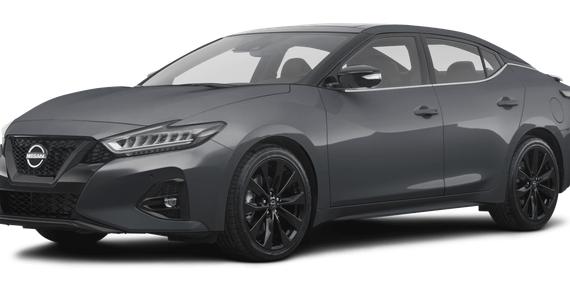 NISSAN MAXIMA 2023 1N4AA6EV7PC506142 image