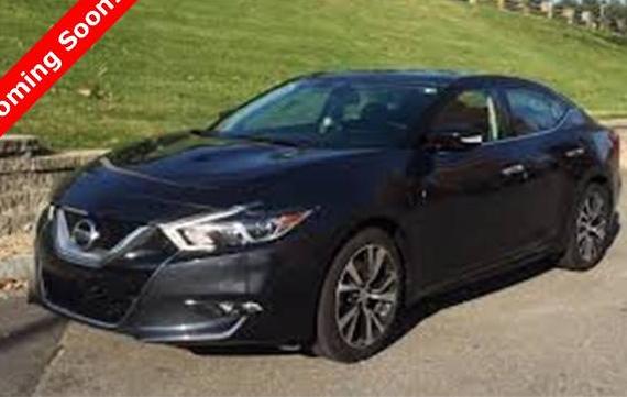 NISSAN MAXIMA 2016 1N4AA6AP4GC400349 image