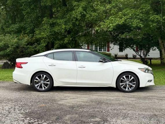 NISSAN MAXIMA 2016 1N4AA6AP4GC415059 image