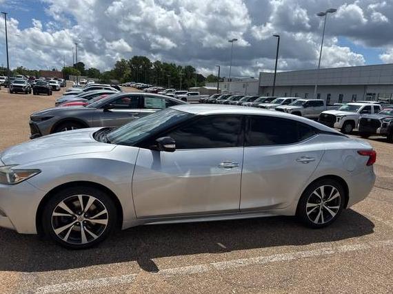 NISSAN MAXIMA 2016 1N4AA6AP1GC442798 image