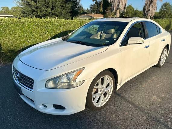 NISSAN MAXIMA 2009 1N4AA51E89C818778 image