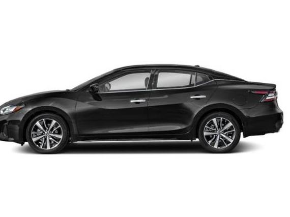 NISSAN MAXIMA 2019 1N4AA6AV6KC363795 image