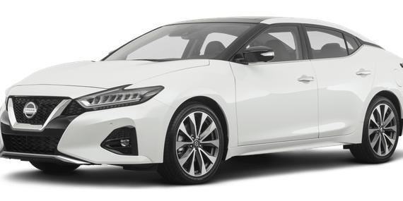 NISSAN MAXIMA 2019 1N4AA6AV8KC364088 image