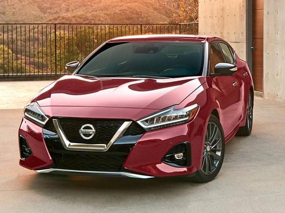 NISSAN MAXIMA 2019 1N4AA6AV0KC362223 image