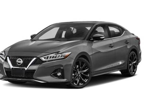 NISSAN MAXIMA 2019 1N4AA6AV5KC382127 image