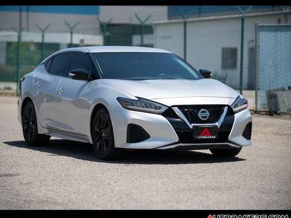 NISSAN MAXIMA 2019 1N4AA6AV6KC365546 image