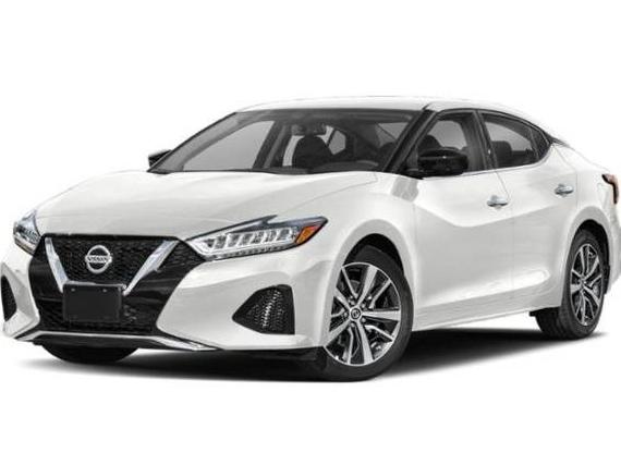 NISSAN MAXIMA 2019 1N4AA6AV8KC362891 image