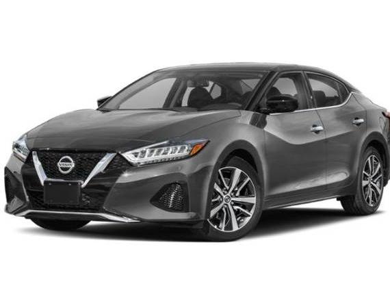 NISSAN MAXIMA 2019 1N4AA6AV0KC369446 image