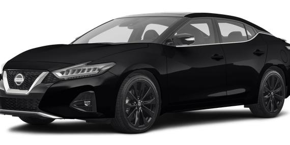 NISSAN MAXIMA 2019 1N4AA6AV4KC377002 image