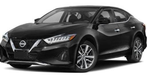 NISSAN MAXIMA 2019 1N4AA6AVXKC369924 image