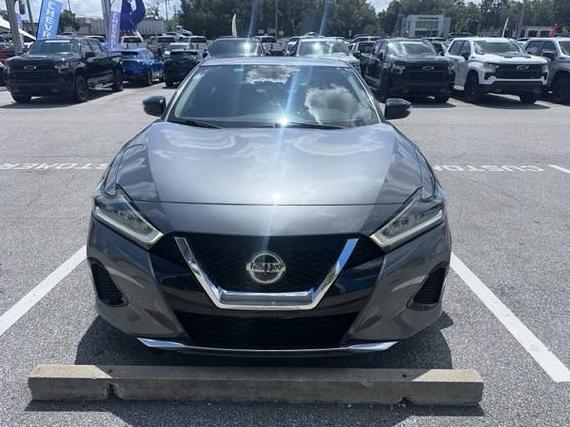 NISSAN MAXIMA 2019 1N4AA6AV4KC382345 image
