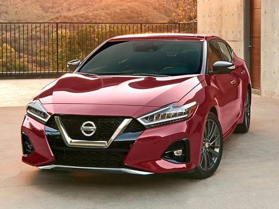 NISSAN MAXIMA 2019 1N4AA6AV6KC371251 image
